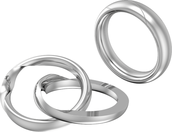 Elegant 2-Tone Interlocking Wedding Ring Linus Oval