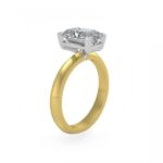 Radiant-cut diamond solitaire engagement band - melia in platinum