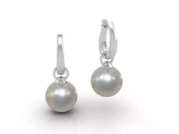 Home 36 Earrings